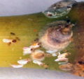 AM20061121 002A.JPG