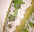 Beetle larval skins.JPG