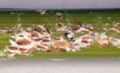 AM20061121 001.JPG