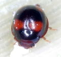 AM20061121 003.JPG